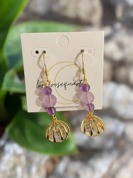 Under the Sea Seashells